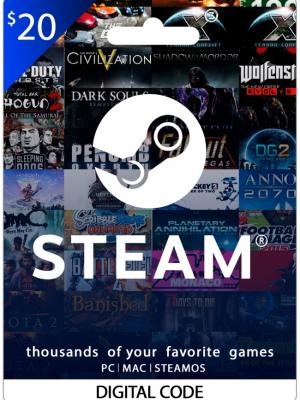 STEAM 20 USD